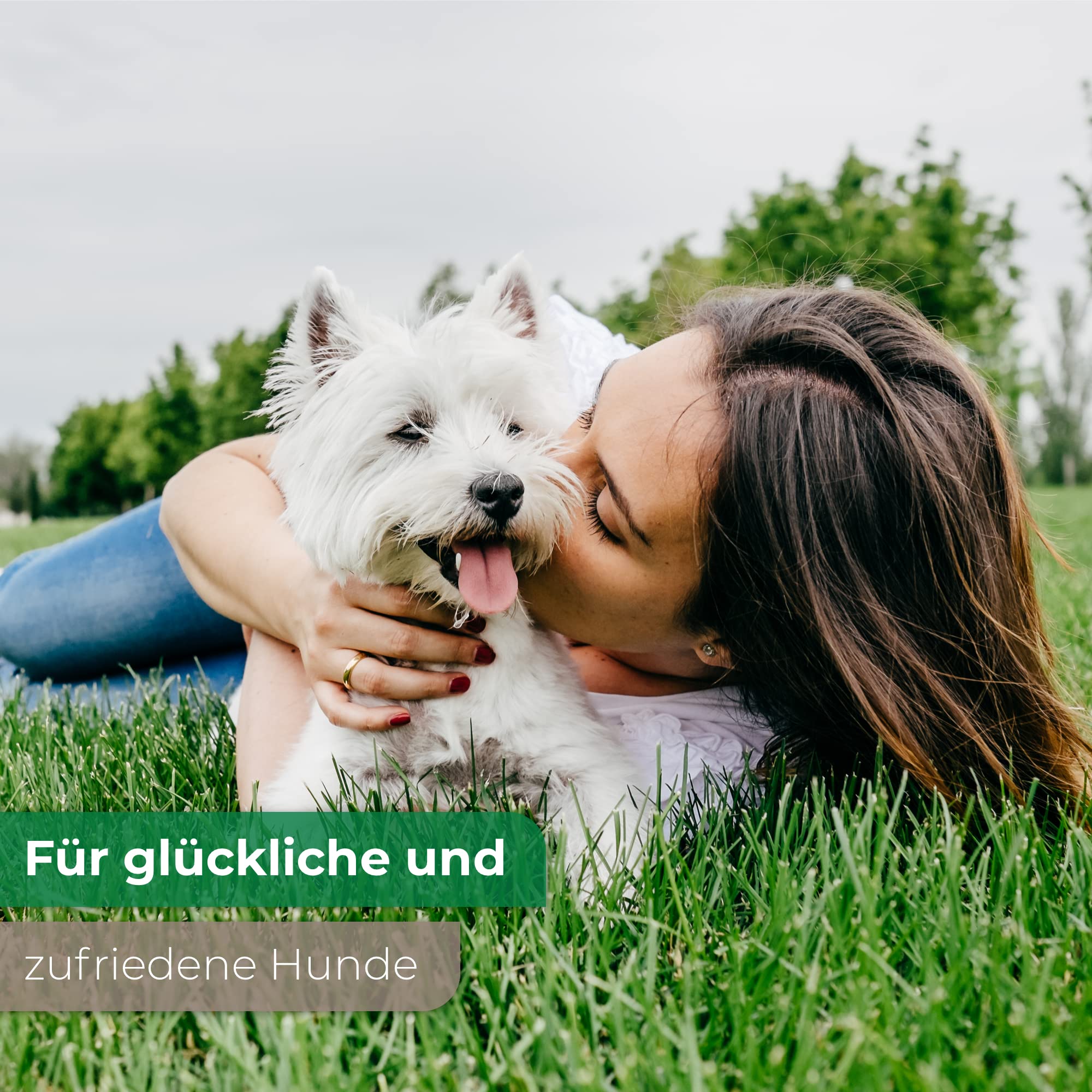 Hundefutter Adult 4 Verschiedene Sorten Pastete/Pate 90 x 300g