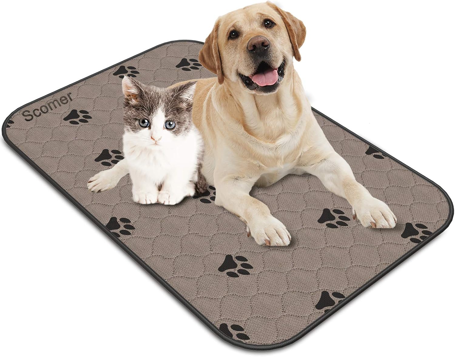 small dog pee pads