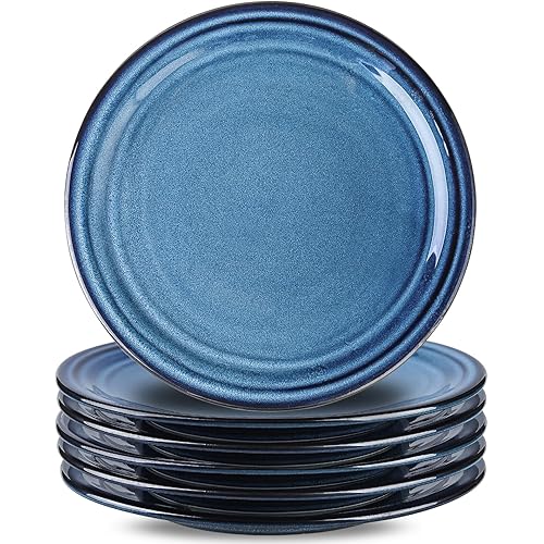 Hasense 10 Inch Dinner Plates Set of 6,Ceramic Large Porcelain Pasta and Salad Plates,Blue Stoneware Plate Set Microwave,Oven,and Dishwasher Safe
