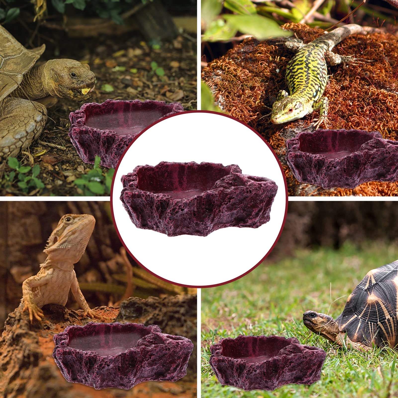 Cuenco de agua para reptiles Cuenco de alimentación for reptiles, 4 piezas, cuenco de agua for reptiles, cuenco de alimentación for reptiles, comedero for reptiles, taza de agua for lagartos, cuenco d