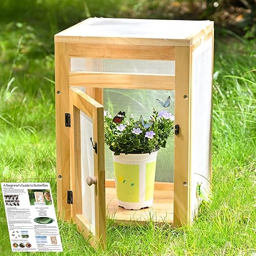 Butterfly Habitat Cage Kit - 15.7" Monarch Caterpillar House with