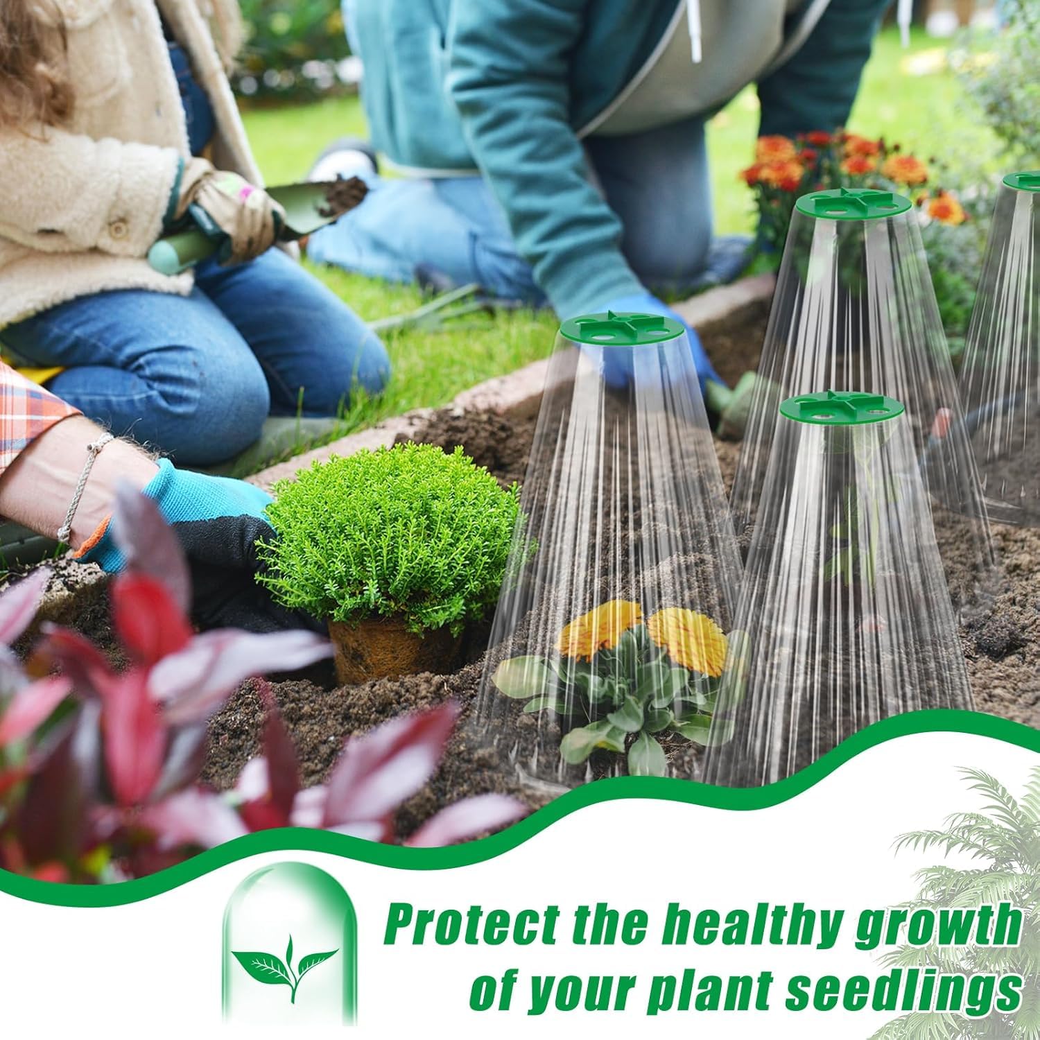 Cloche Jardin Potager Lot de 30, Protection Réutilisable pour Plantes avec Couvercle de Ventilation Rotatif, 24 x 20,5 cm Transparent