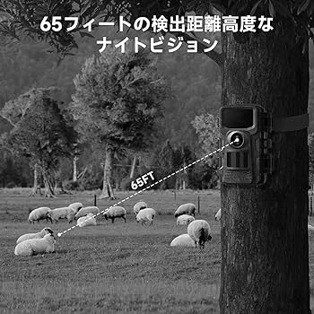 Amazon.co.jp: 小型 トレイルカメラ ソーラーパネル付属 2K 3600