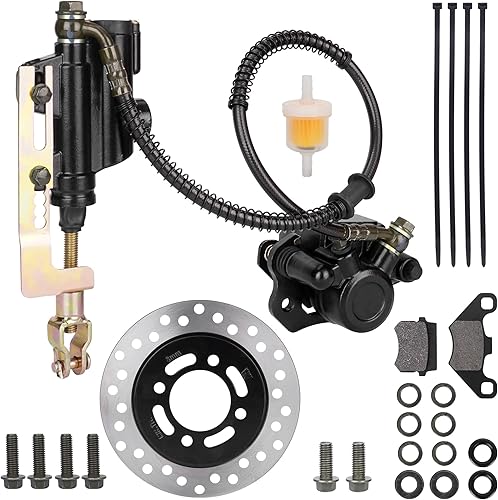 Conjunto de pinza de cilindro maestro de freno trasero con disco de freno para 50cc 70cc 90cc 110cc 125cc Taotao 125D Boulder B1 Coolster Kazuma