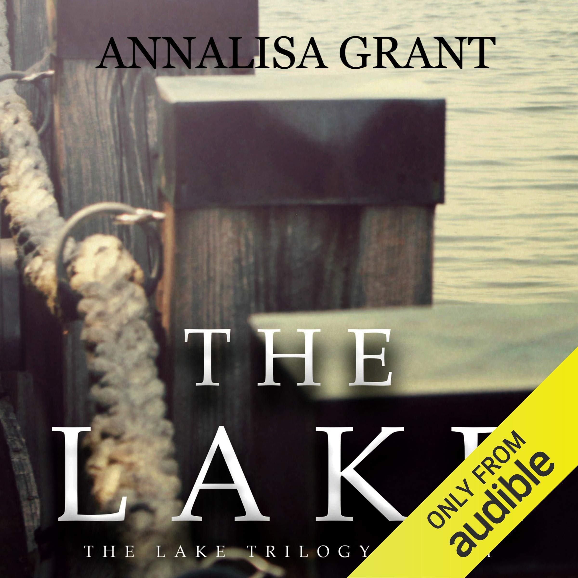 Cover art for The Lake