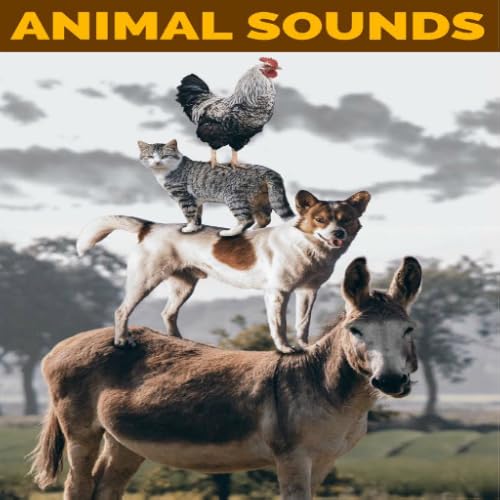 Animal Sounds
