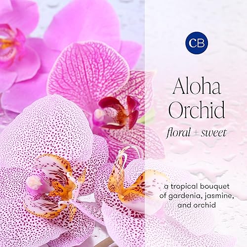 Miniatura 2 de Capri Blue Aloha Orchid - Juego de difusor de varillas - Incluye varillas de difusor, aceite de fragancia y botella de vidrio - Ambientadores Aloha