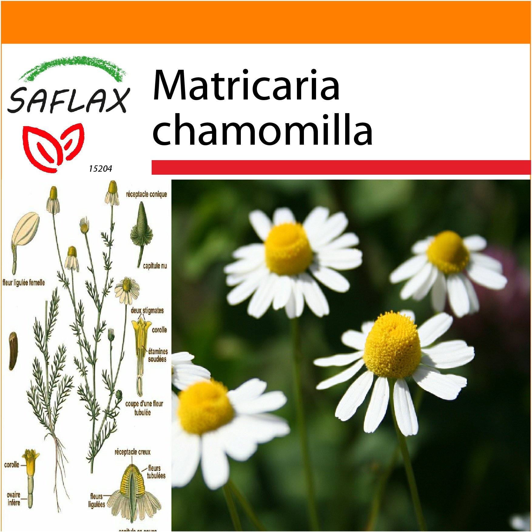 SAFLAX - Garden in The Bag - Mayweed - 300 Seeds - Matricaria chamomilla