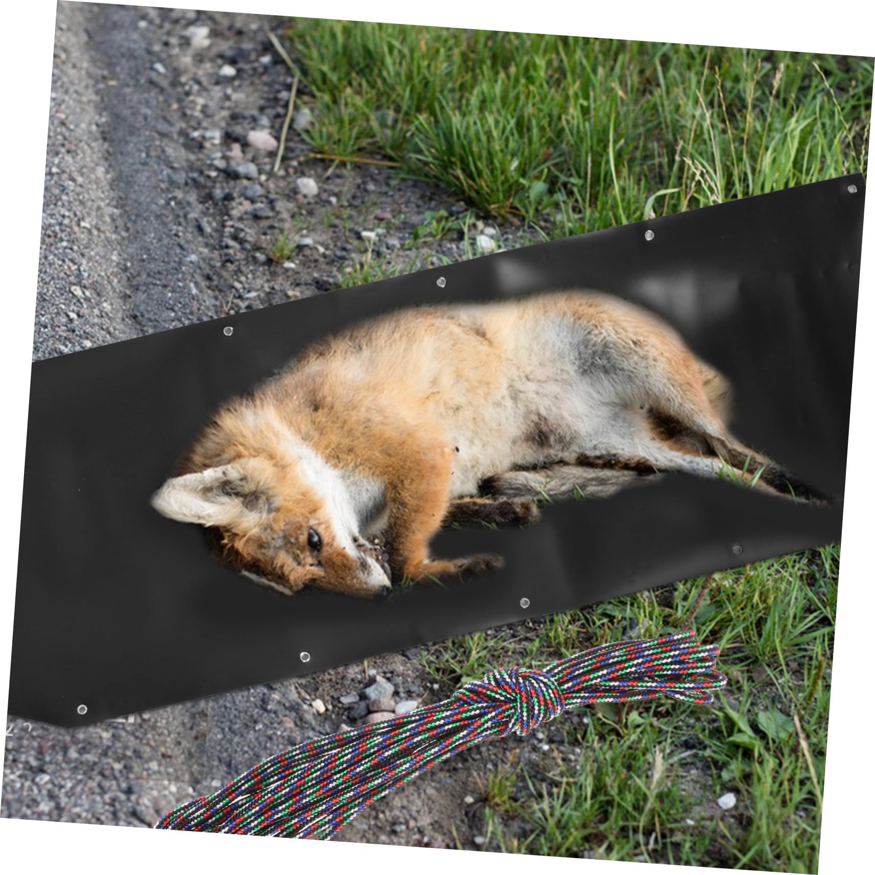 Kunststoff Nutzschlitten als Wildschleppschlitten, Schwarz