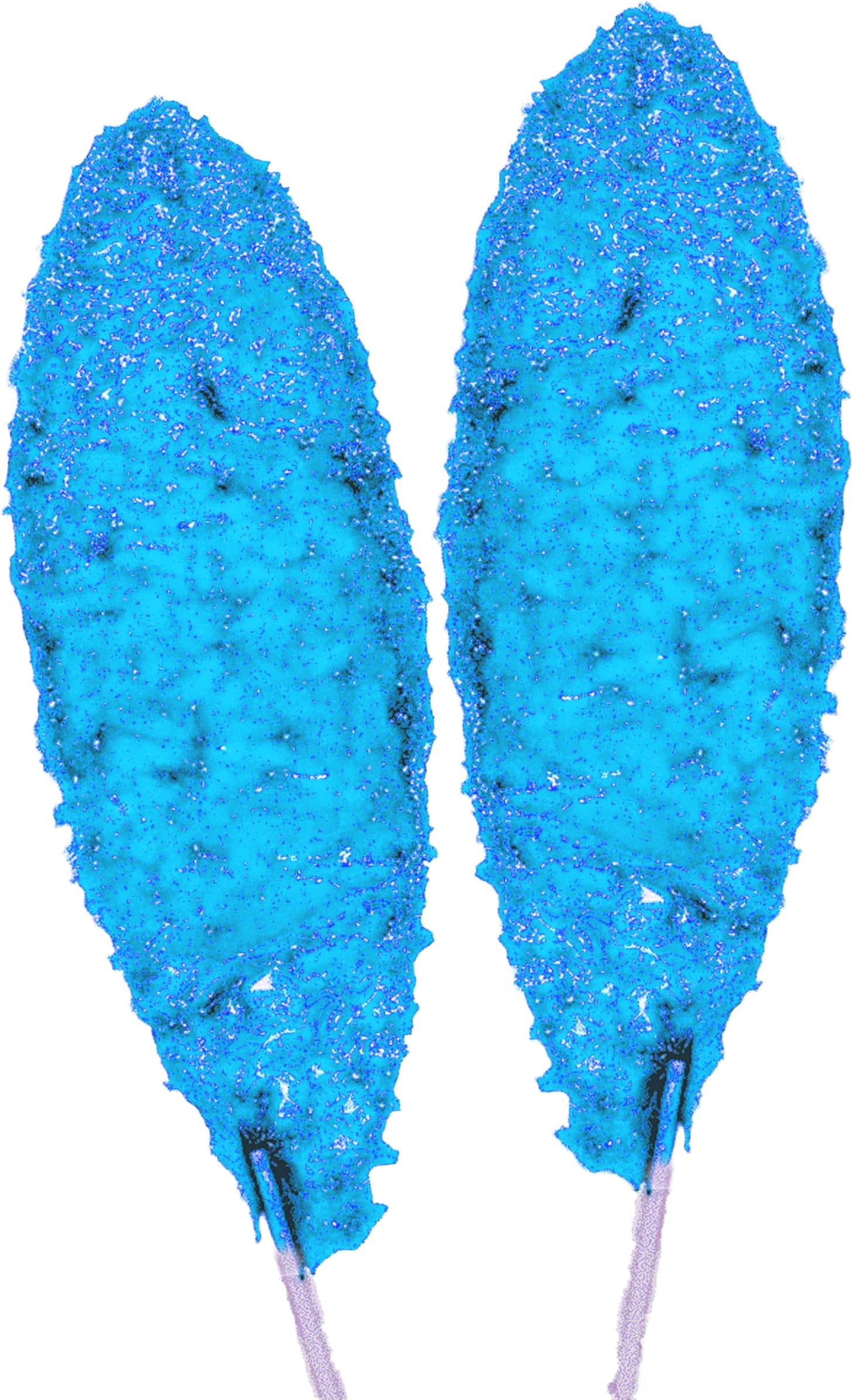 40 Pc Tamarind Blue Flavor Paletas Mexican Lollipops Slaps Cachetadas Suckers 40 Pc Pigui Slaps Tamarind Blue Flavor Paletas Fruity Lollipops Mexican Pops Candy Sucker Goodies Sweet Cachetadas Treat