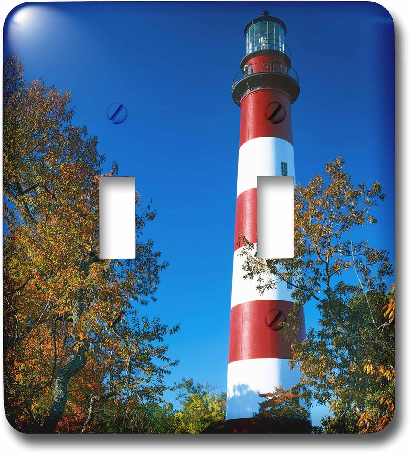 3dRose lsp_189803_1 Usa, Virginia, Assateague Island, Assateague Lighthouse Light Switch Cover
