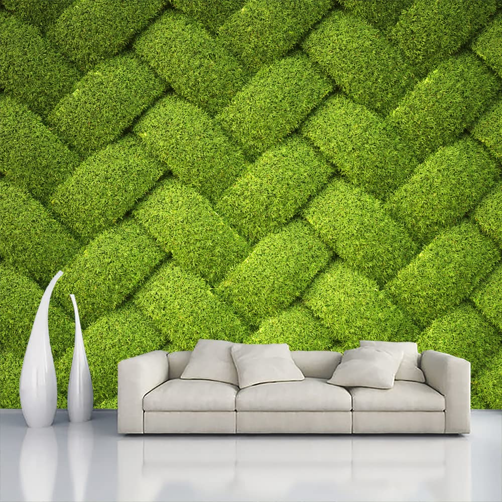 Color Solution Wallpaper Grass Wall Sticker for Home Décor, Living Room, Bedroom, Hall, Kids Room, Play Room(Self Adhesive Vinyl and waterproof181 (120 x 16 INCH) (B09Q95CHPZ) Amazon Price History, Amazon Price Tracker