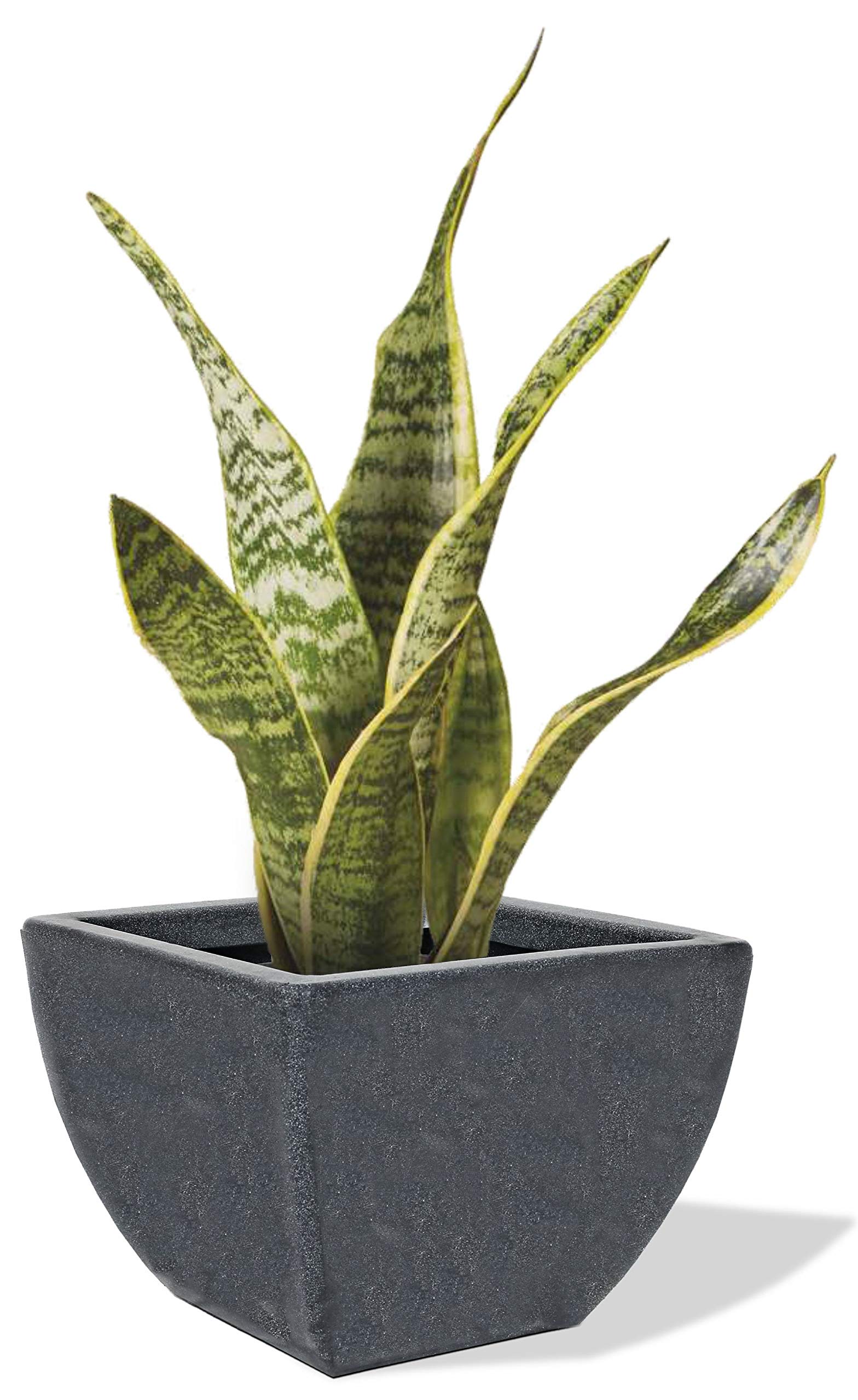 Supremo Exclusive Beautiful Rectangular Eco-Friendly Polyethylene Decorative Leafy and Flowering Pot/Planter/Gamla for Indoor and Outdoor for Home/Balcony/Office /Living Room-Grey| WxH=24x18