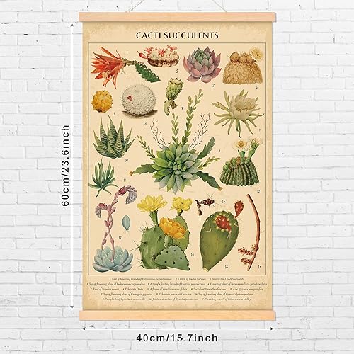 Miniatura 2 de Tatuo Póster vintage de cactus y suculentas, impresiones artísticas de cactus rústico para colgar en la pared, marco de lienzo para colgar en la