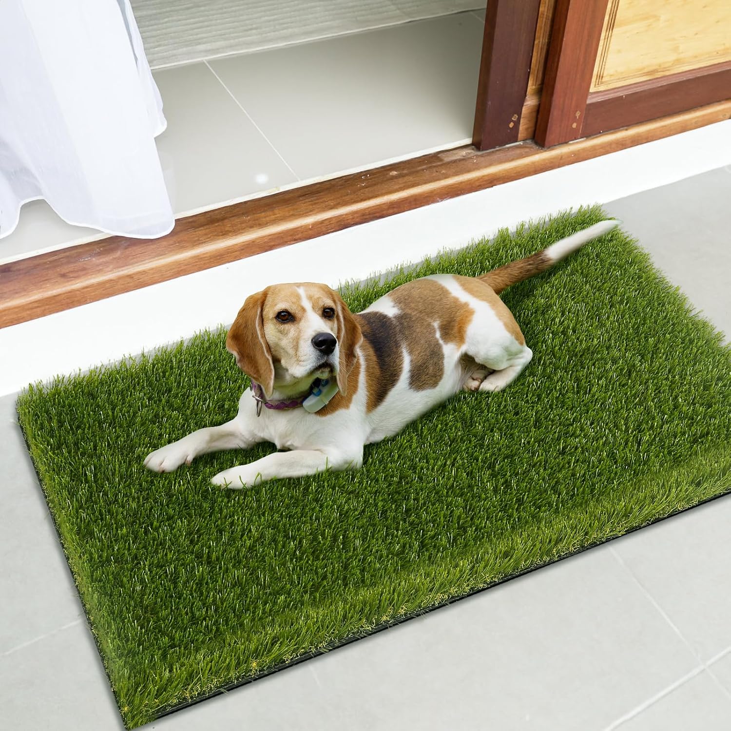 CooRug Artificial Grass Turf Rug, 24 X 35 Inches Fake Grass