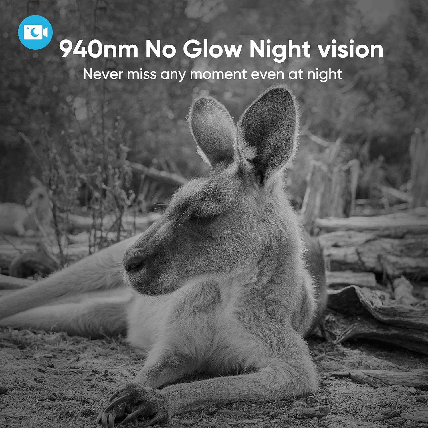 Free Shipping 🛒 4K 30MP Trail Camera, WiFi Bluetooth 940nm No Glow Night Vision Hunting Game Camera 3 PIR 120° Wide 65ft Trigger IP66 Waterproof 2.4”LCD Screen for Wildlife Monitoring, Home Security Get Special Price 4K 30MP Trail Camera, WiFi Bluetooth 940nm No Glow Night Vision Hunting Game Camera 3 PIR 120° Wide 65ft Trigger IP66 Waterproof 2.4”LCD Screen for Wildlife Monitoring, Home Security