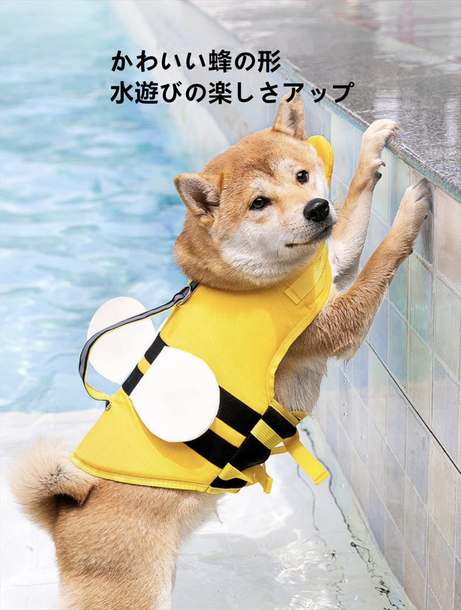  Meyer Fluweh 犬と蜂 Meyer Fluweh 犬と蜂 Kurt Meyer Fluweh 犬と蜂 This is without