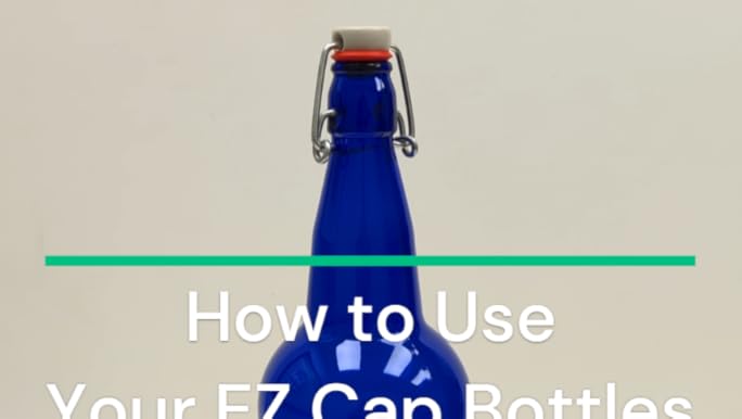 Amazon.com: Swingtop Kombucha Bottle, 32oz - 1 Bottle, Blue