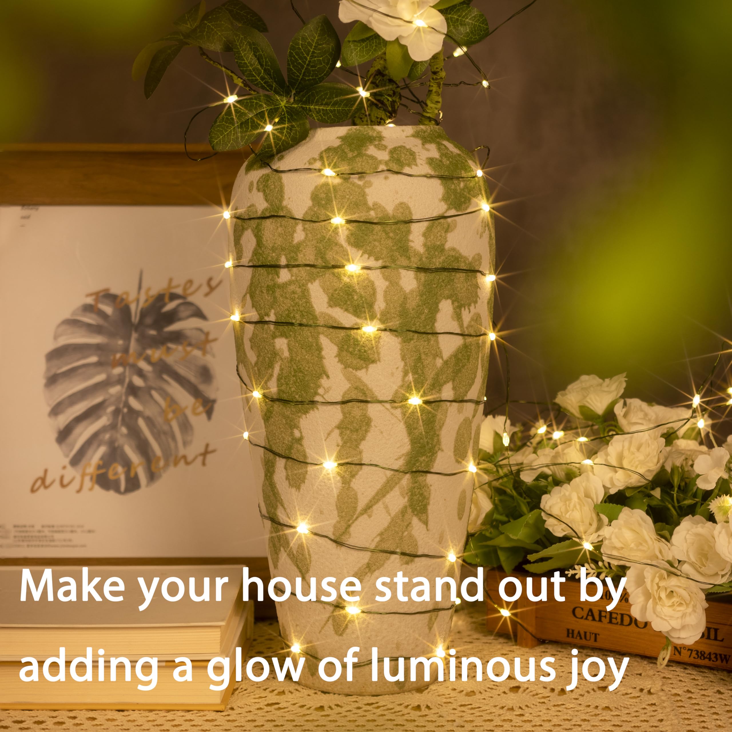 LJLNION 1000LED Christmas Lights, Extra Long 328FT Xmas Green Wire Fairy String Lights Plug In Outdoor, Remote Control & 8 Lighting Modes, Waterproof For Wedding Party Bedroom Decorations, Red & Green