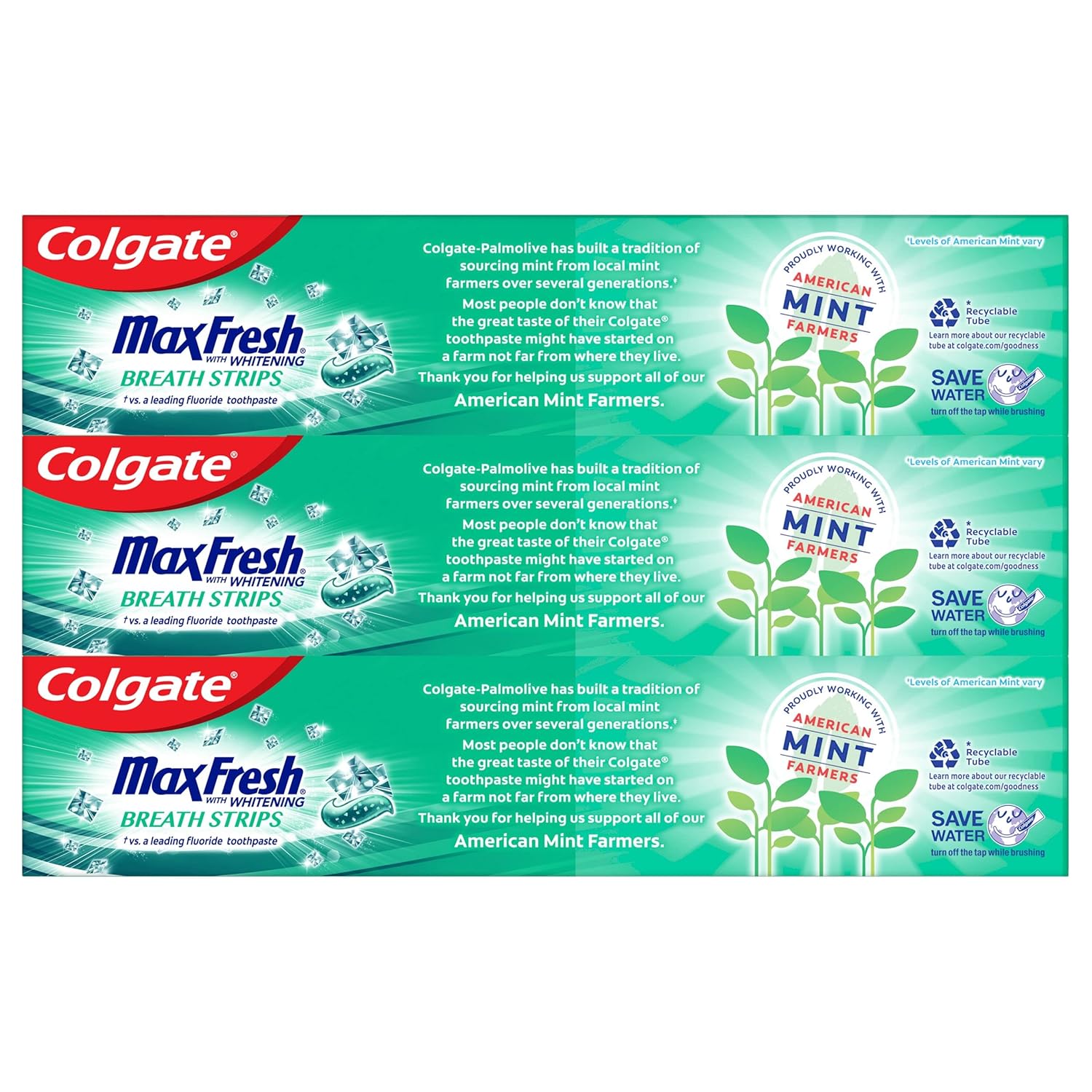 Colgate Max Fresh with Whitening Toothpaste with Mini Breath Strips, Clean Mint Toothpaste for Bad Breath, 6.3 Oz Tube. 3 Pack : Everything Else