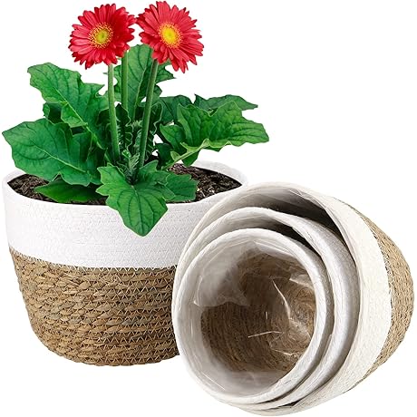 Set of 4 Lined Seagrass Basket Planters for Indoor and Outdoor Use
