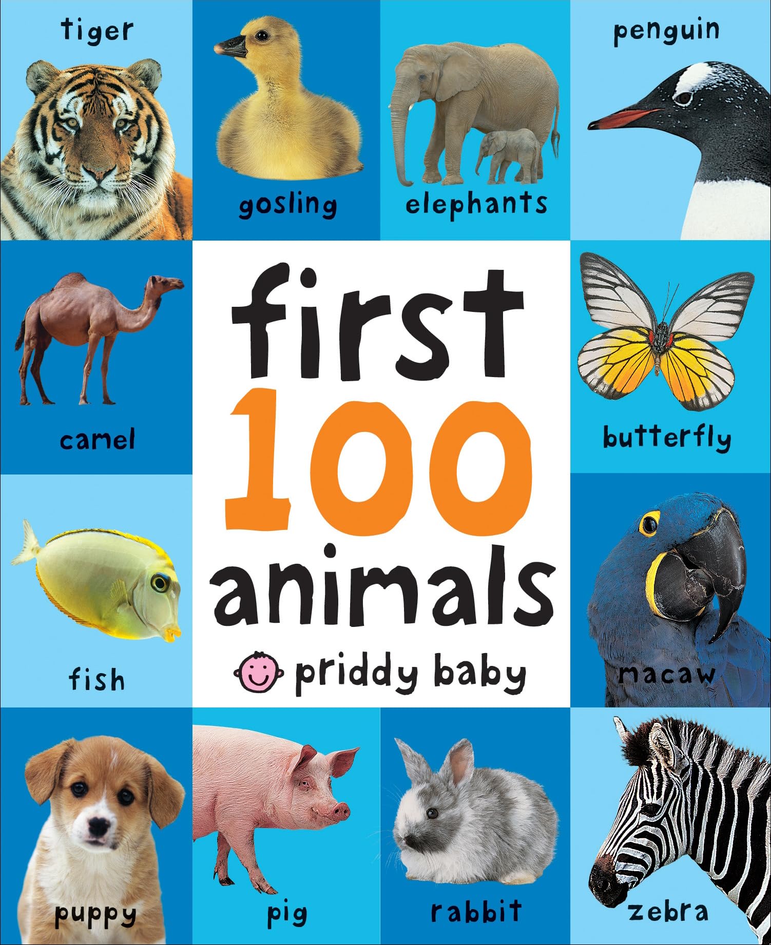 First 100 Animals: In the bestselling First 100 series Board book – Illustrated, May 10, 2011