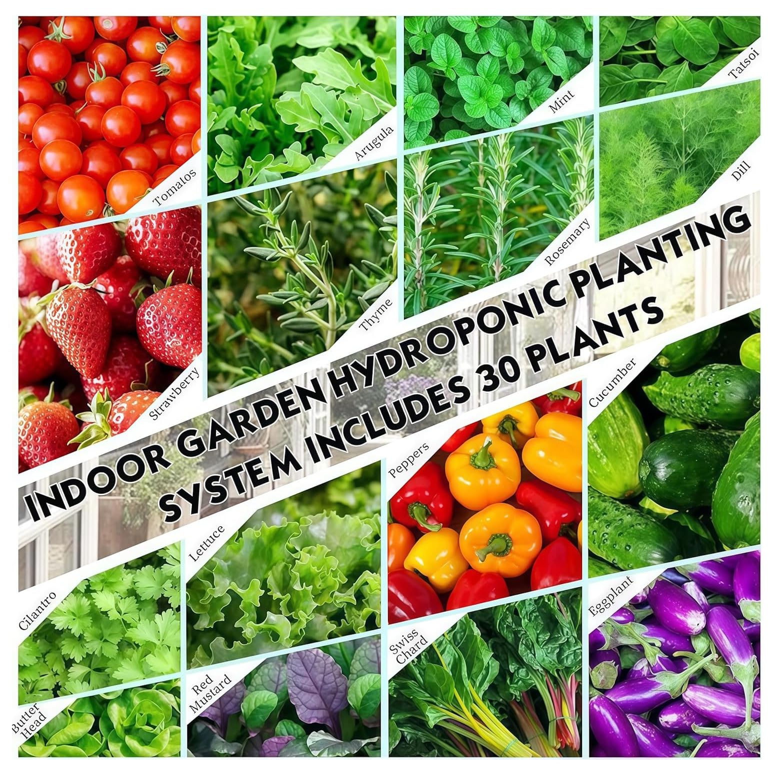 30 cialde idroponica Tower Garden sistema di coltivazione idroponica Aeroponica Kit di coltivazione per erbe, frutta e verdura Timer per erbe, frutta e verdura (25 fori)