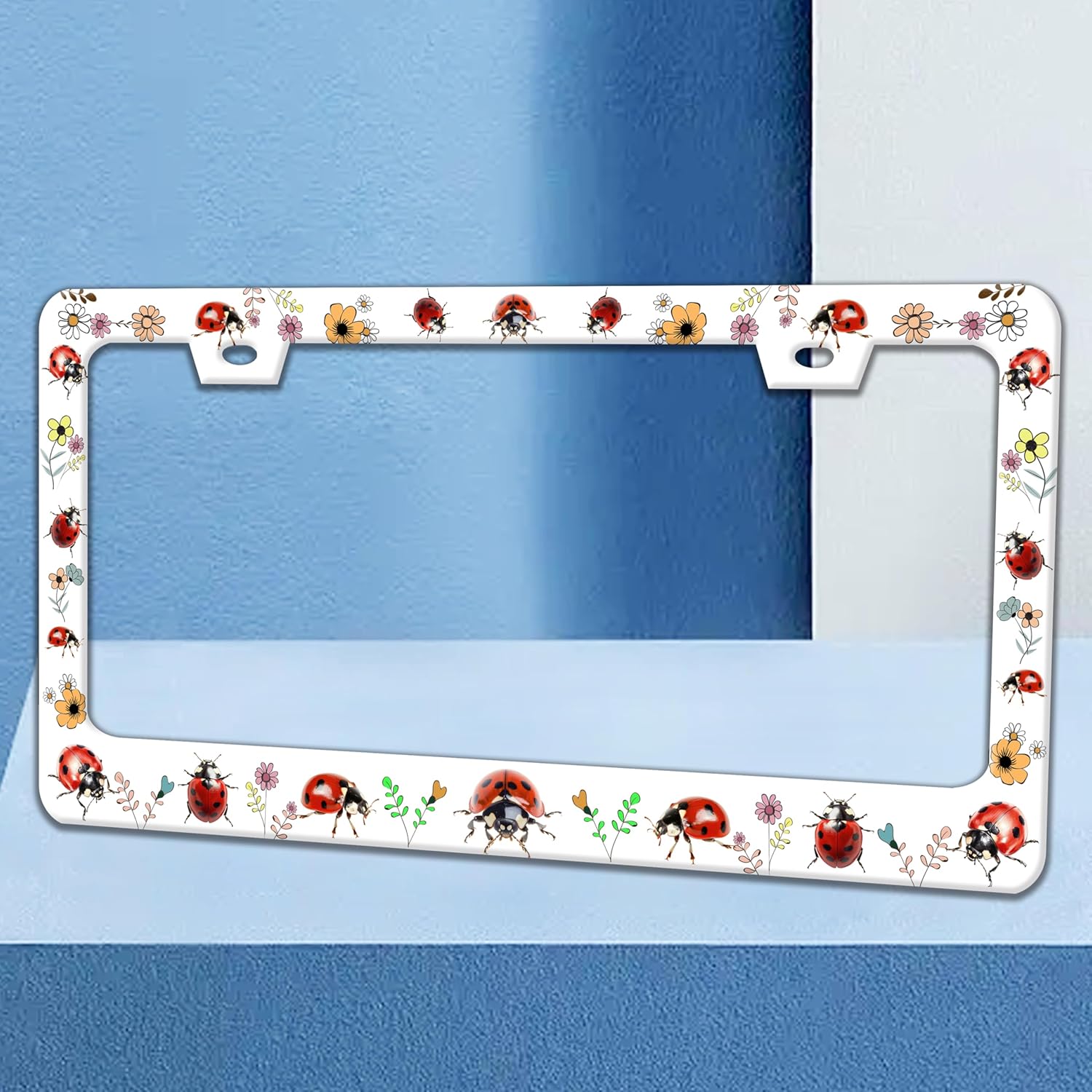 2 Pack Red Ladybug License Plate Frame Animal Flowers License Plate Holders Funny Stainless Steel Auto Accessory Bracket 2 Hole with Screws Universal Us Car License Plate Frames 6x12 in for Women Men