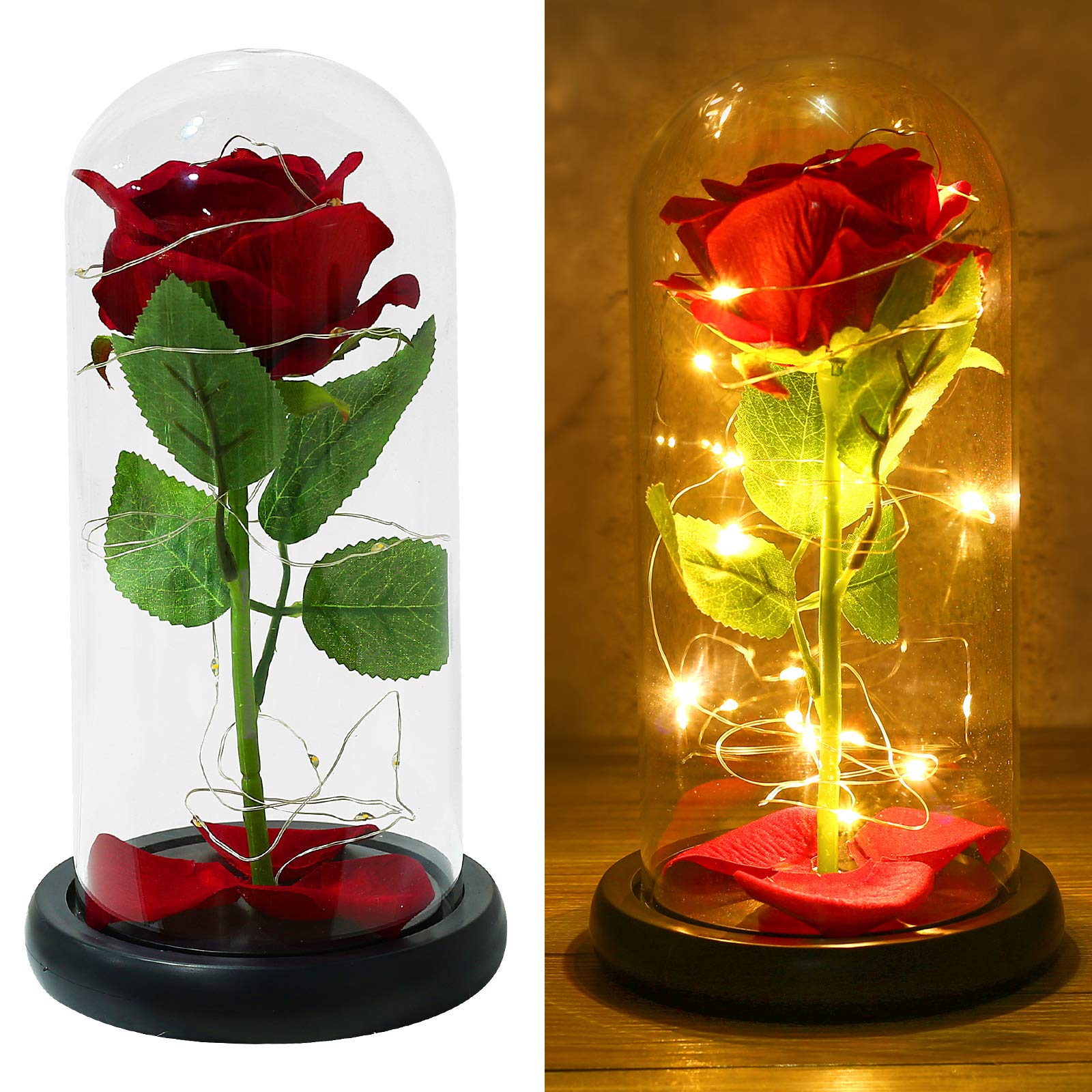 Rose In Glass Rose In A Glass Dome Beauty And