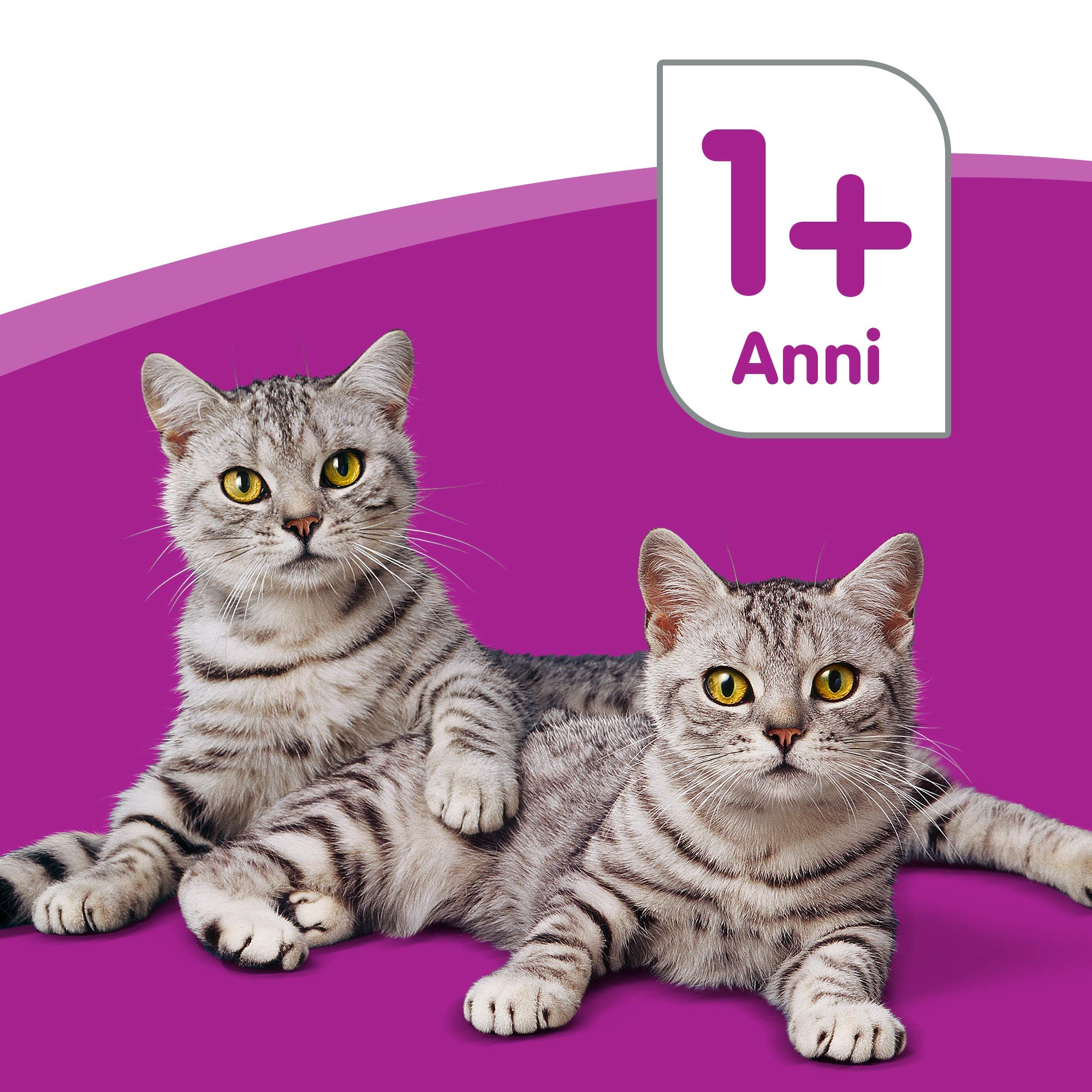 Whiskas Pure Delight in Gelatina Selezione Gustosa, 1+ Anni, 4 x 85 g, Cibo per Gatto, 13 Confezioni (52 Pezzi in Totale)