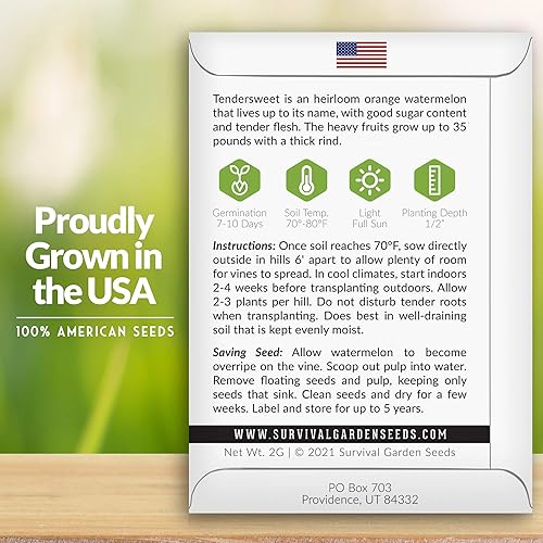 Miniatura 3 de Survival Garden Seeds - Semilla de sandía de naranja tierna para plantar - 5 paquetes con instrucciones para plantar y cultivar deliciosas sandías