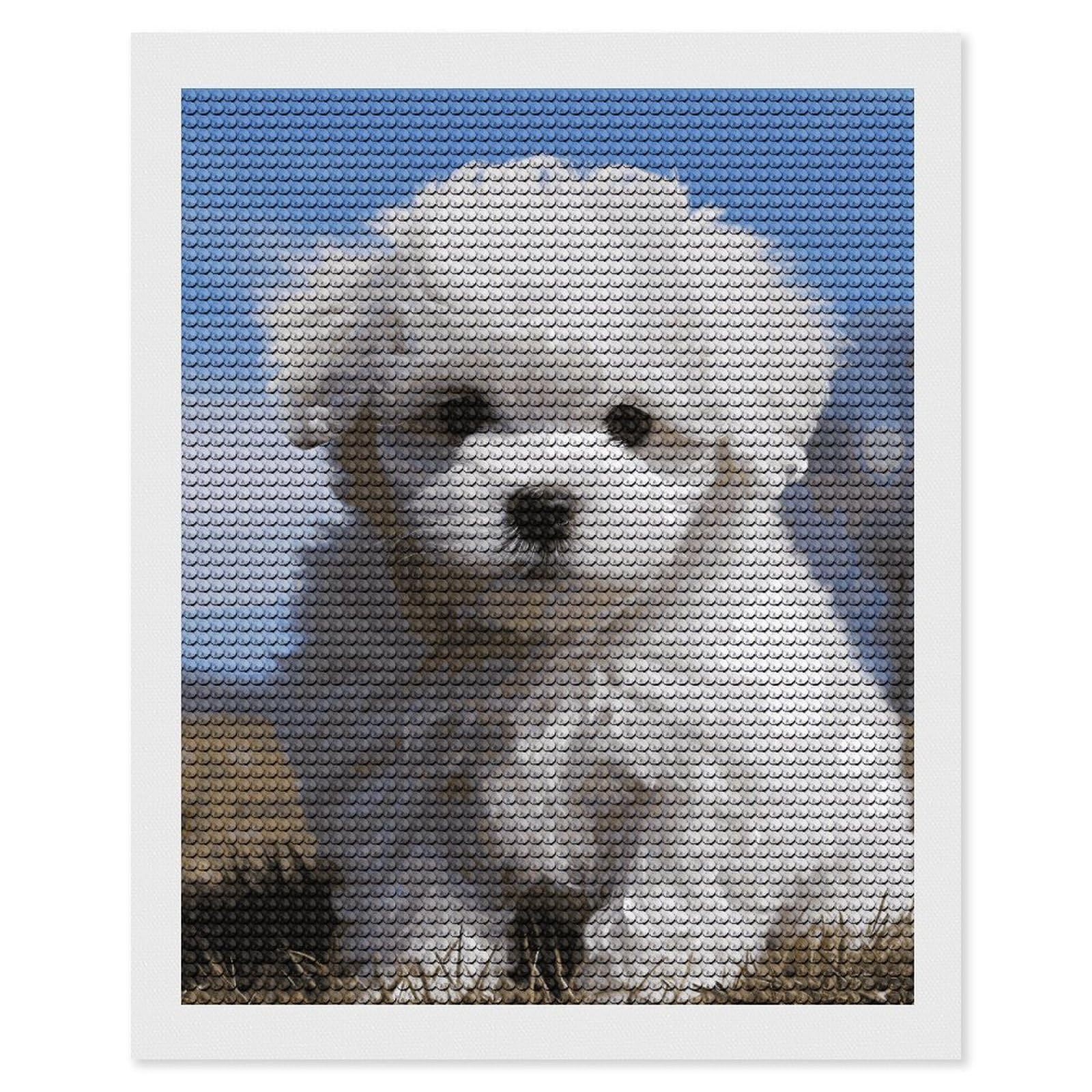 DWVTSLH Bichon Frise Dog Diamond Painting Kits for Adults, Personalized Diamond Photo Art Full Drill, DIY 5D Diamond Art Painting Kits for Beginners, Home Wall Decor 16"x20"