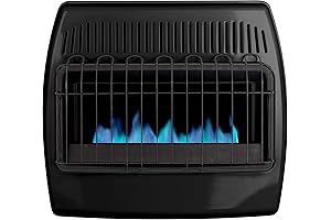Dyna-Glo 30,000 BTU Blue Flame Thermostatic Garage Vent Free Propane Wall Heater
