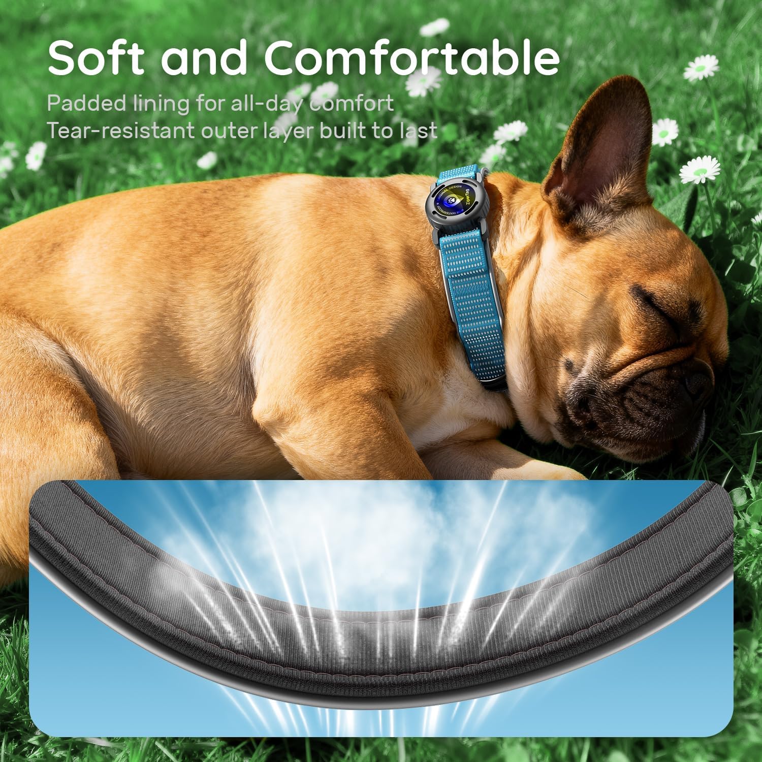 for Airtag Dog Collar with Air Tagholder | IPX8 Waterproof | Reflective Air Tag Dog Collar & QR Code Buckle | Adjustable Durable Padded Nylon Collars for Medium Dogs (Blue, M)