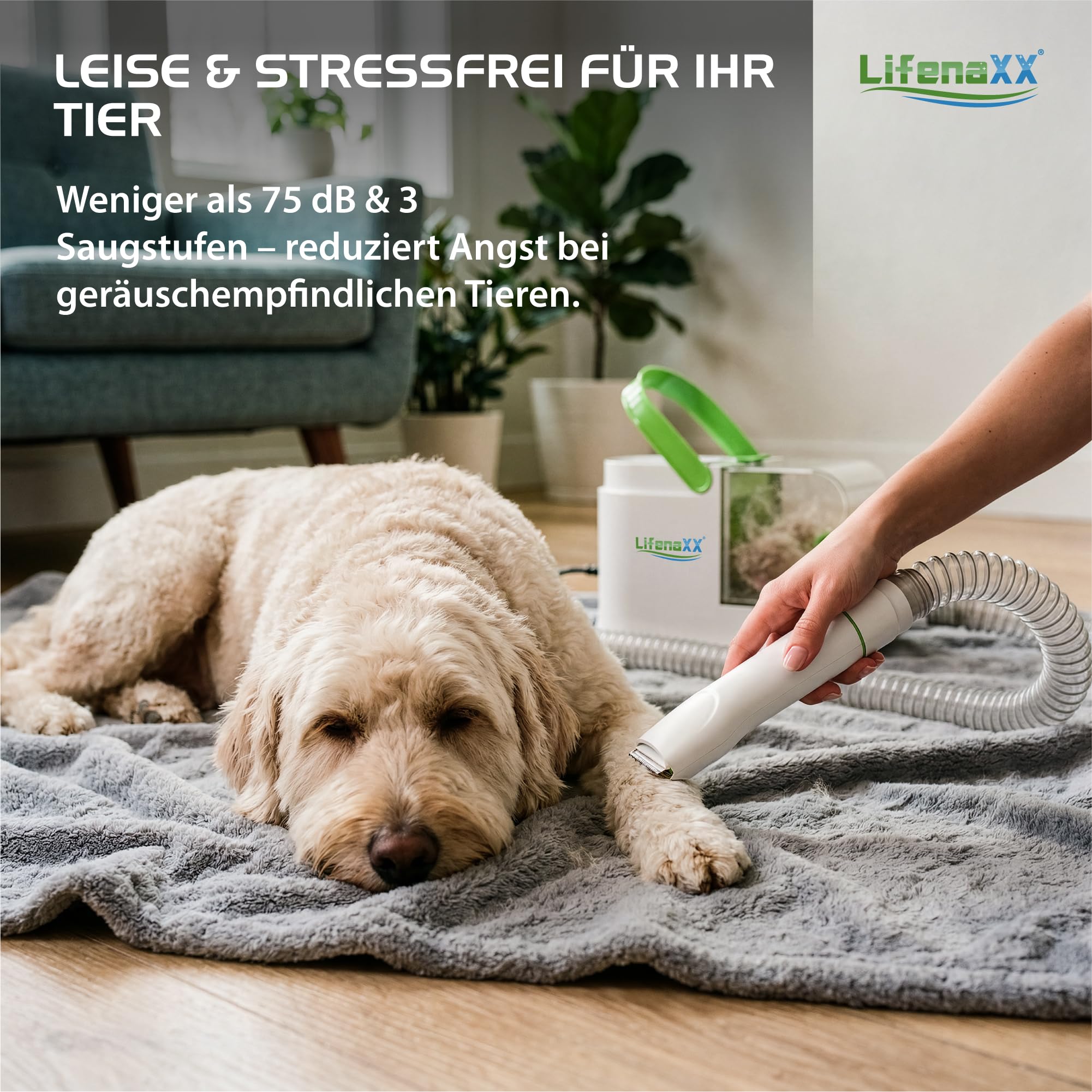 Lifenaxx Haustierpflege Set LX-052 – 6-in-1 Tierhaarschneider mit Vakuumfunktion, Trimmer, Schermaschine, Entfilzungsbürste, Massageaufsatz, HEPA-Filter, leise, für Hunde & Katzen