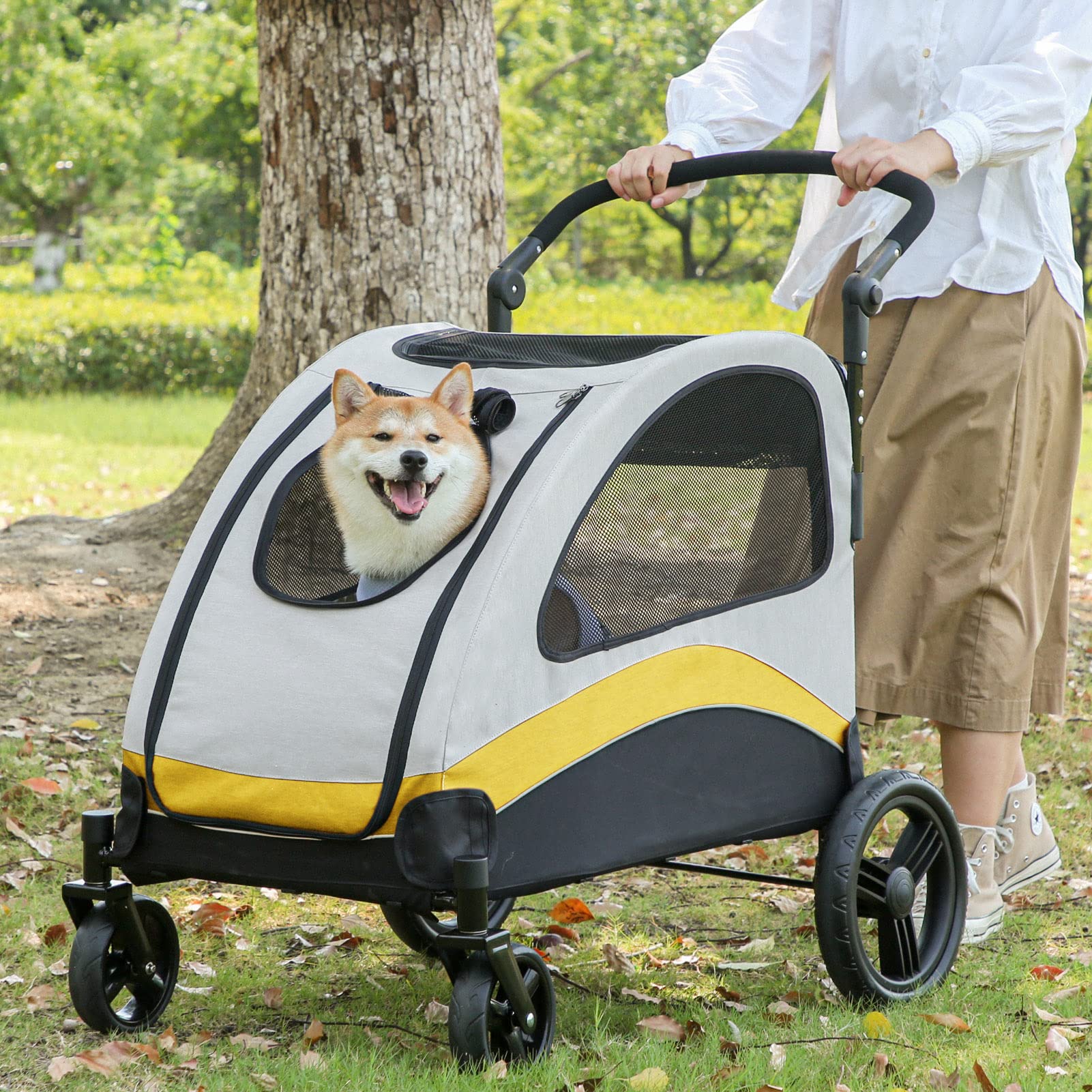 Can I Take My Dog To The Mall In A Stroller