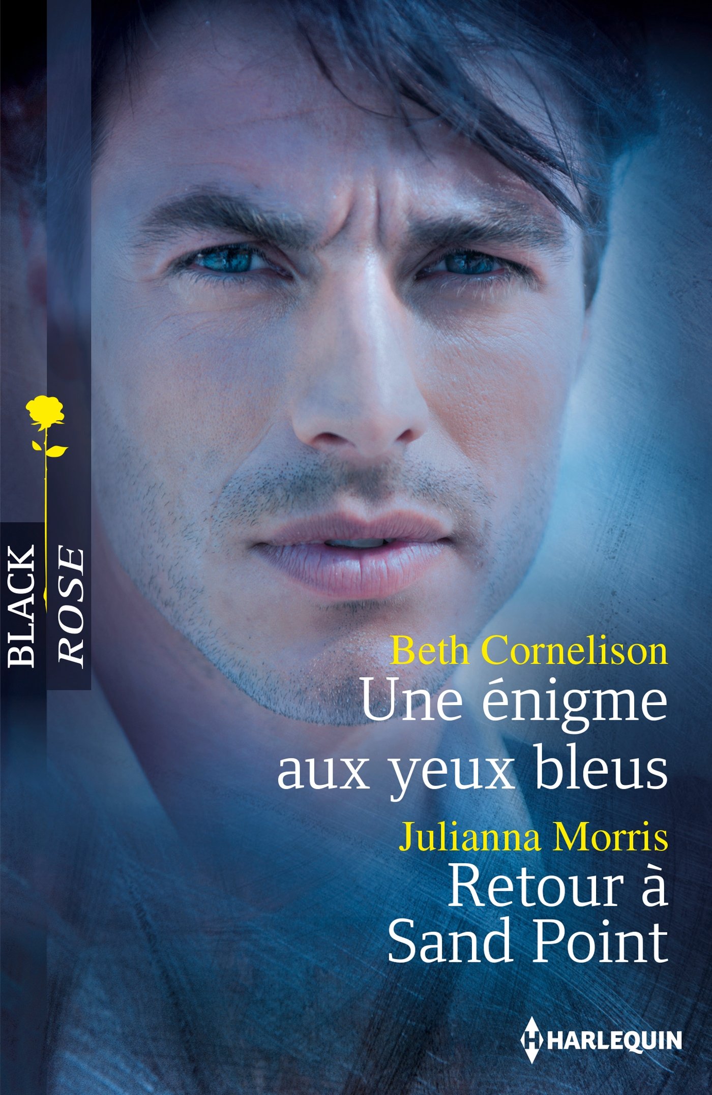 Une énigme aux yeux bleus - Retour à Sand Point (French Edition)