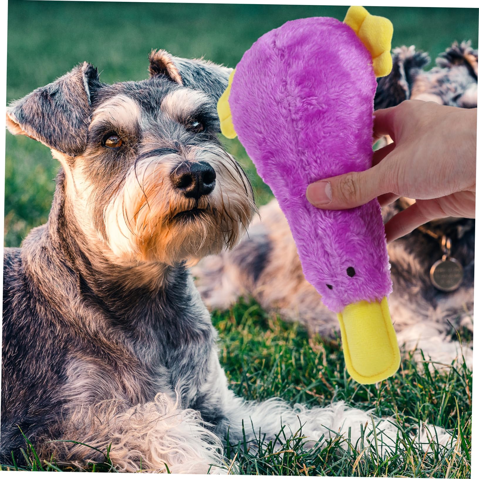 TOYANDONA Jouet Chien Peluche Qui Couine Jouet à Mâcher pour Chiot et Animal de Compagnie Doux et Amusant