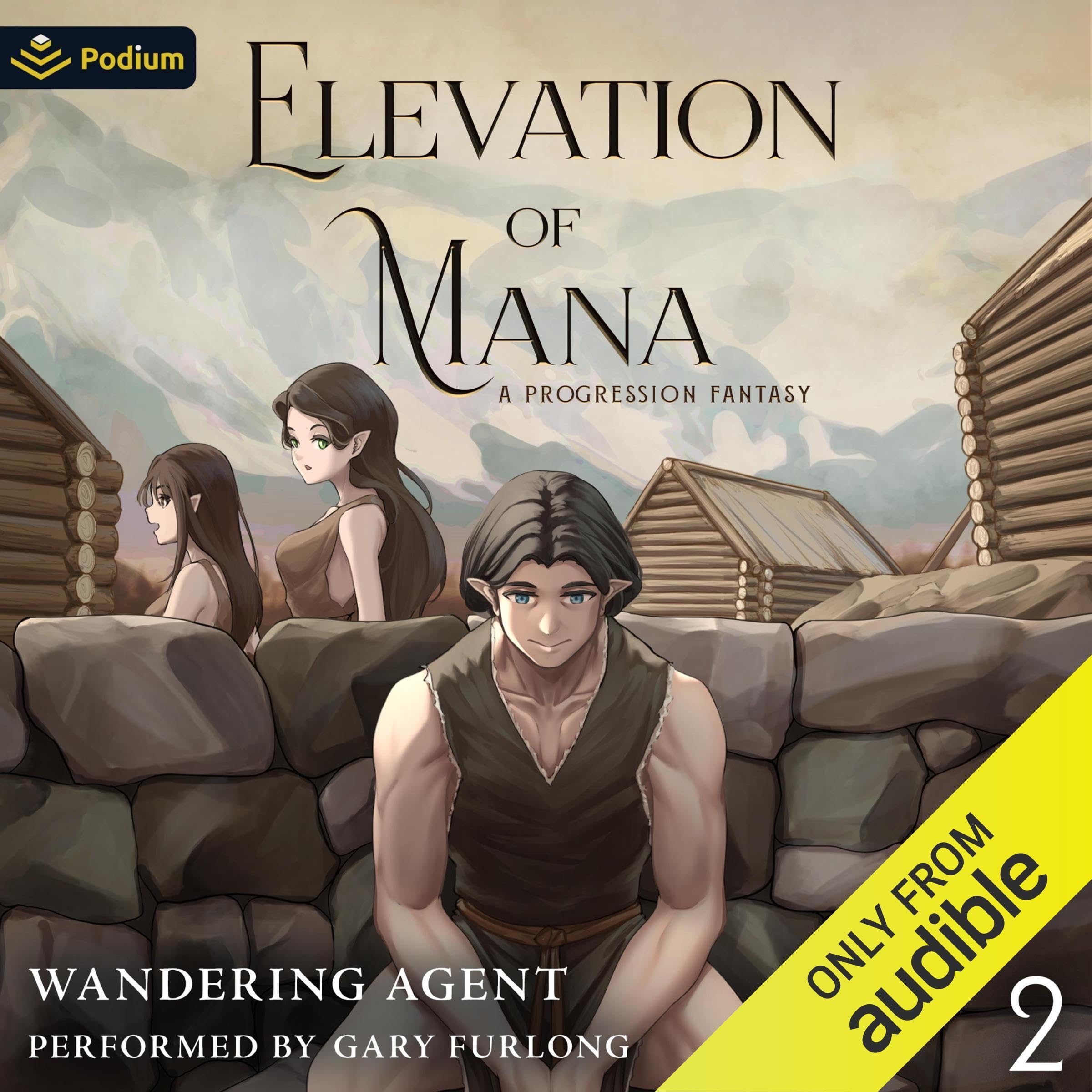 Elevation of Mana 2: A Progression Fantasy