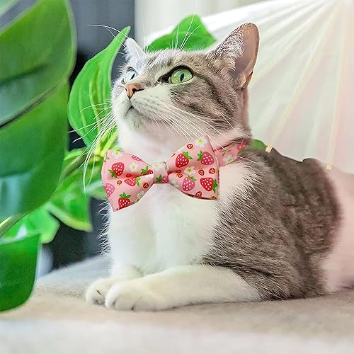 Miniatura 5 de Paquete de 2 collares de gato de primaveraverano con pajarita, abeja y collar de flor de fresa para gatitos y gatitos