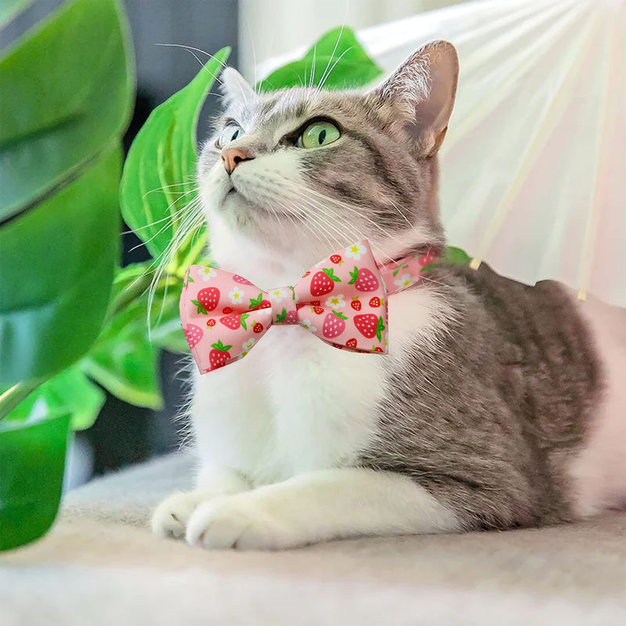 Amazon | 2パック 春夏 キャットカラー 蝶ネクタイ ミツバチ