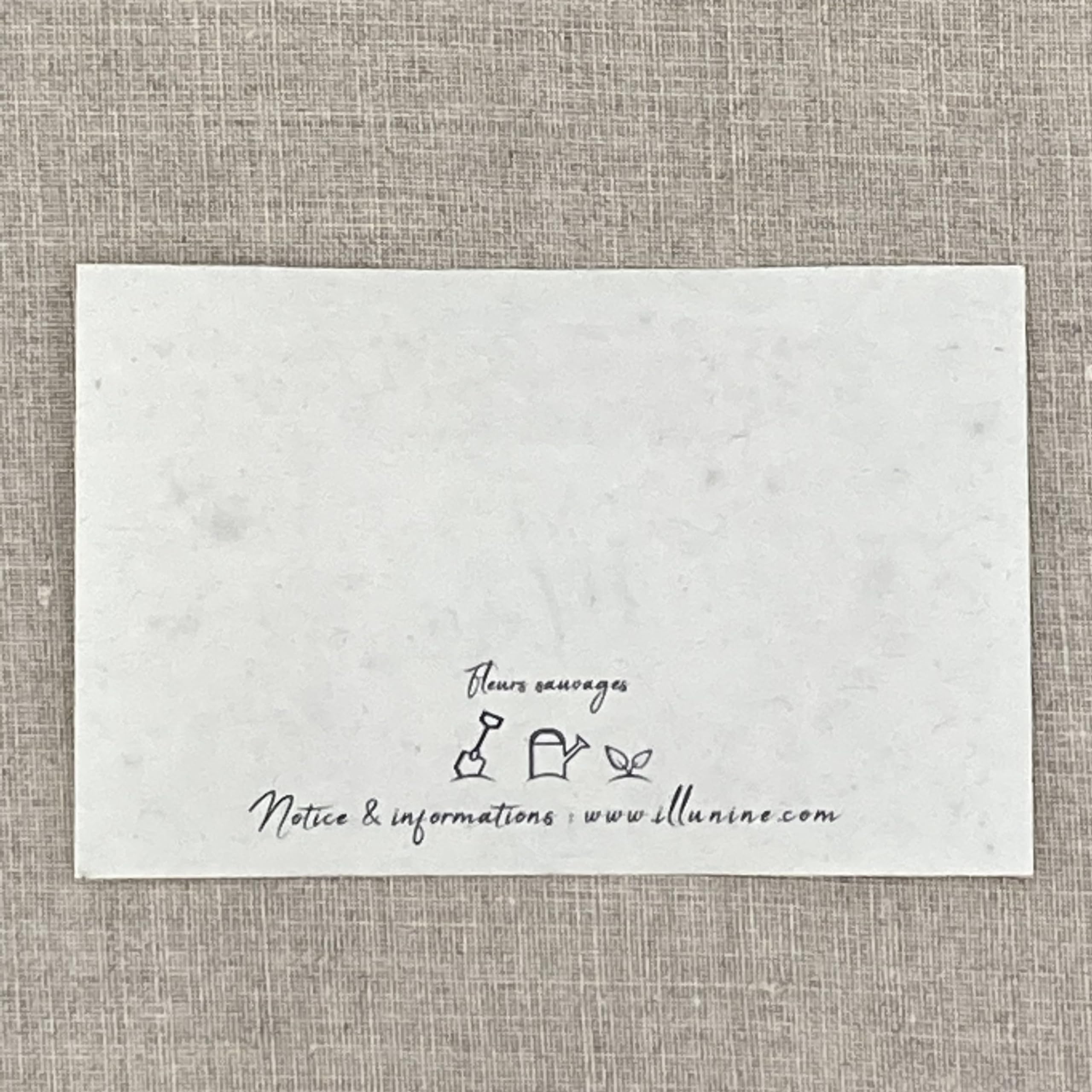 Lot de 10 mini cartes à planter Merci acidulé