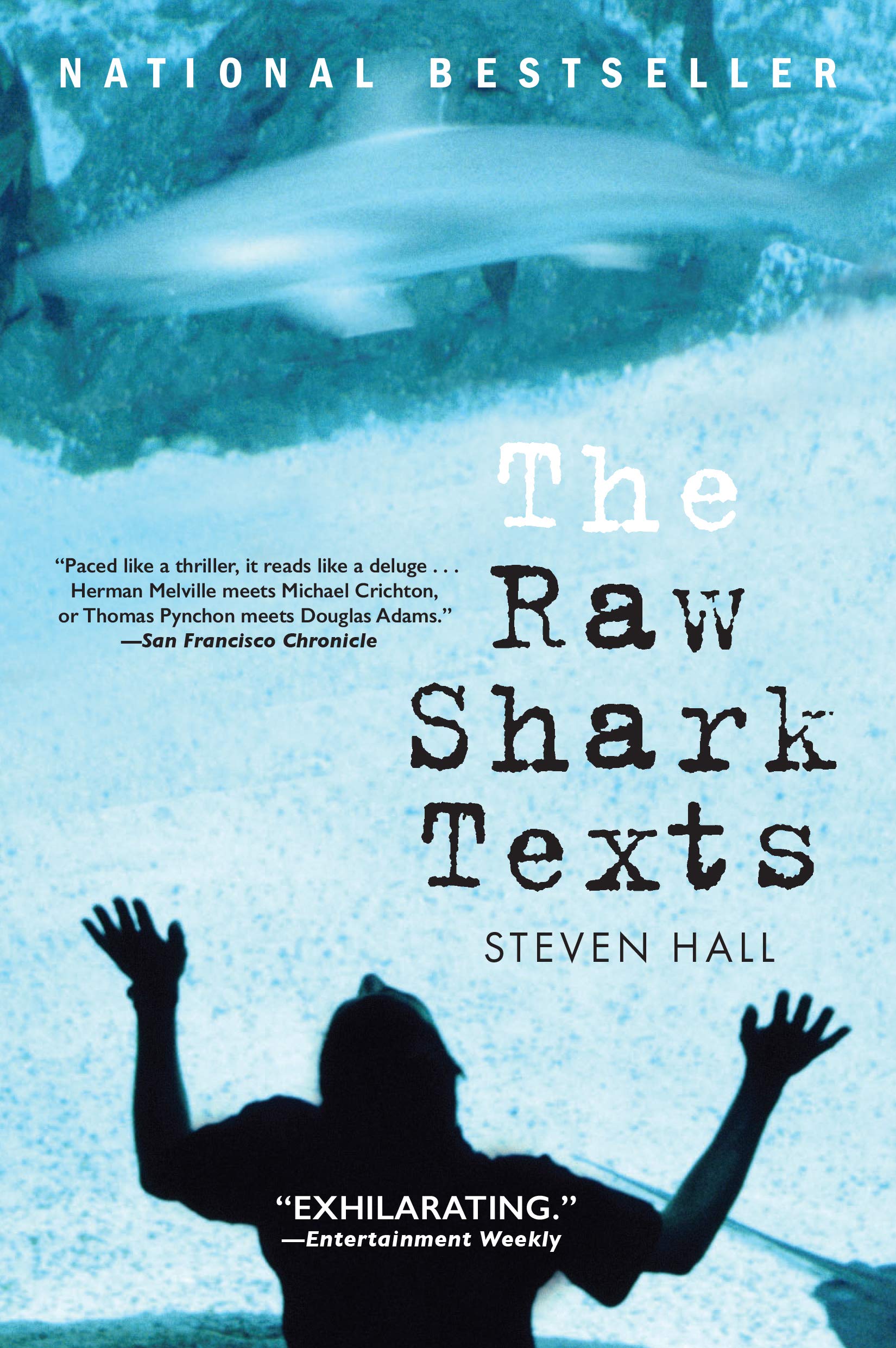 The Raw Shark Texts: A Novel Paperback – April 11, 2008