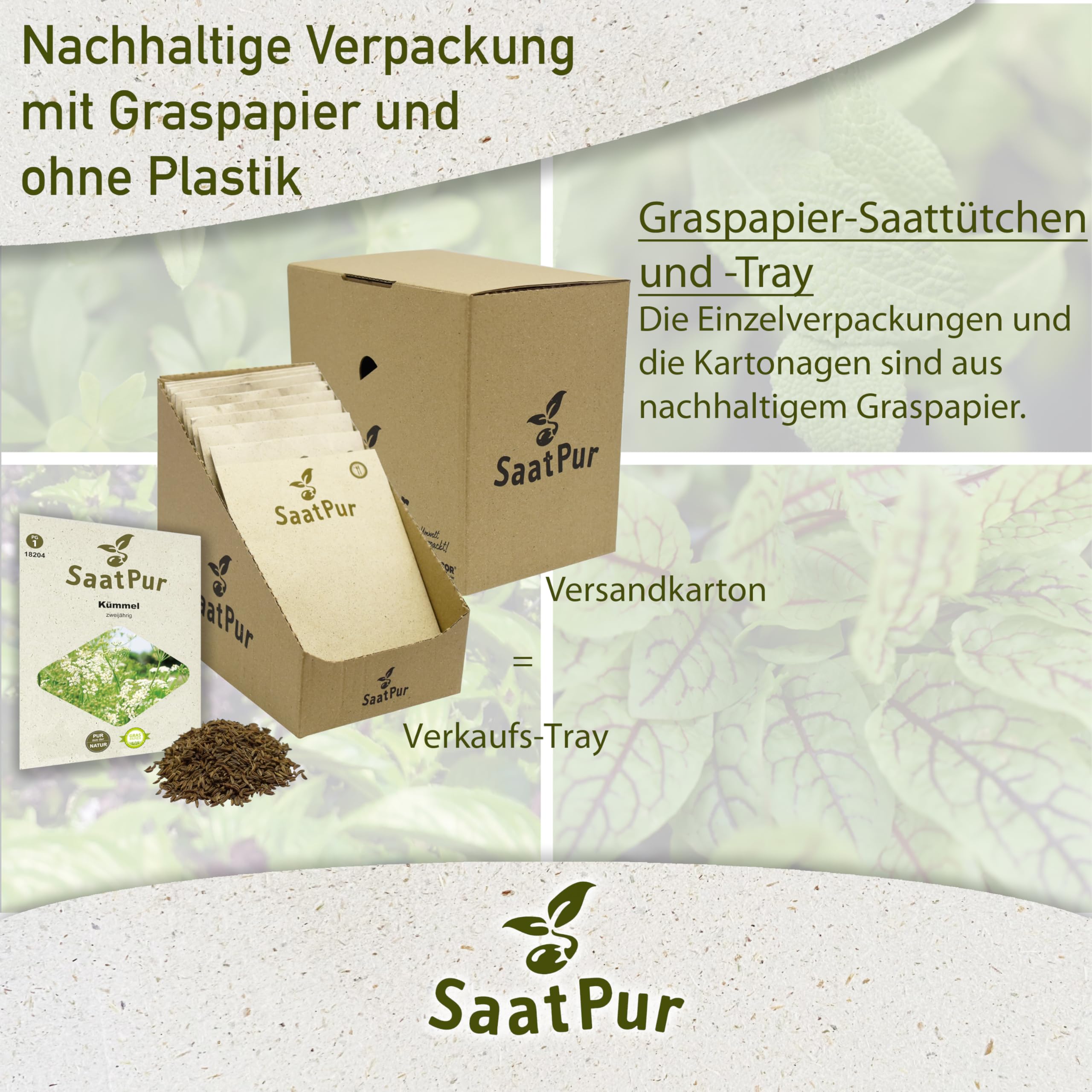 SaatPur Kümmel Samen, Saatgut - Kleines Tray mit 25 Portionstüten für je ca. 100 Pflanzen