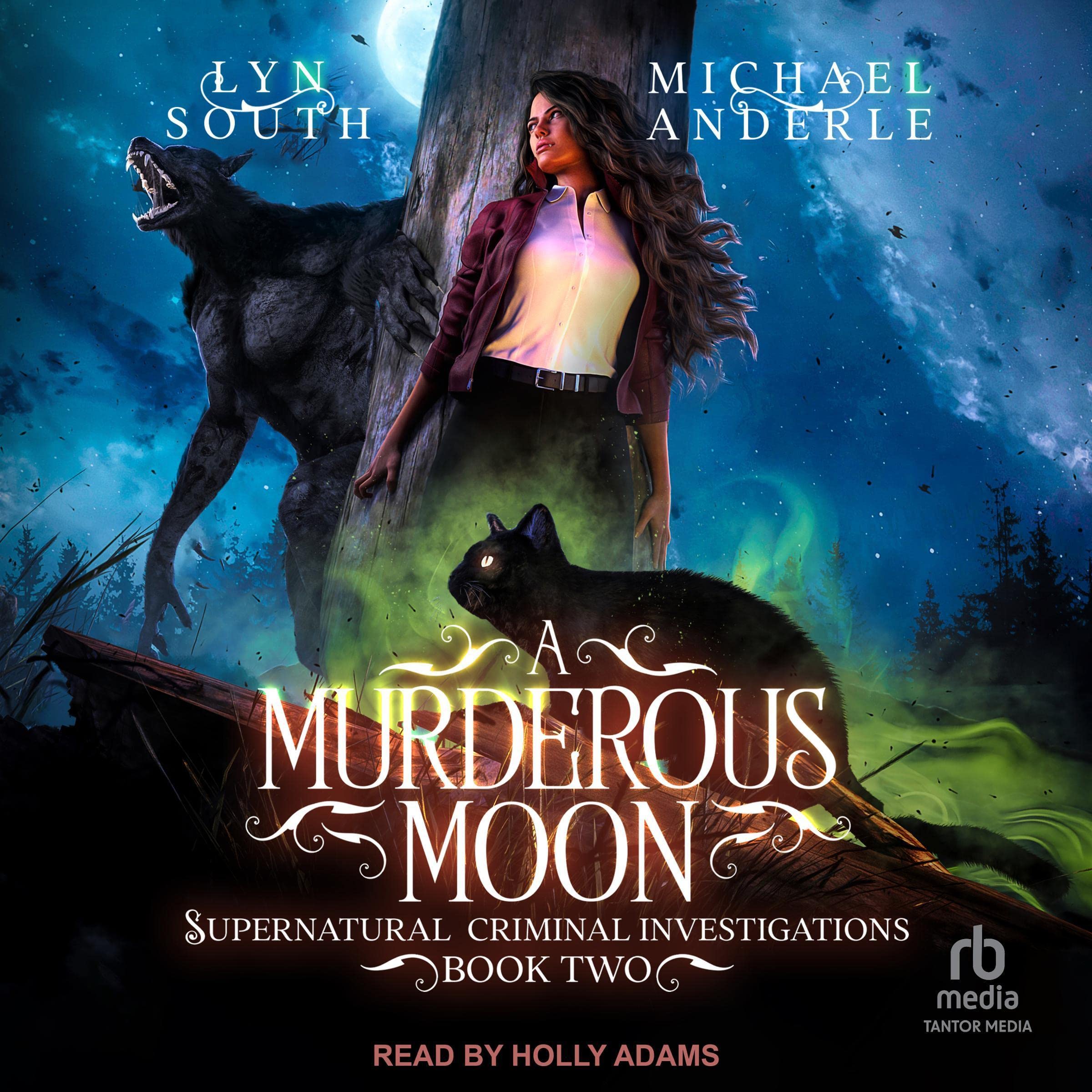 Cover art for A Murderous Moon