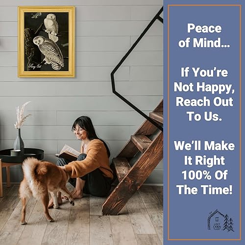 Vista 392 de Towee Bunting by James Audubon - Marco biselado negro de 12 x 16 pulgadas, decoración artística enmarcada para pared, reproducción de pinturas