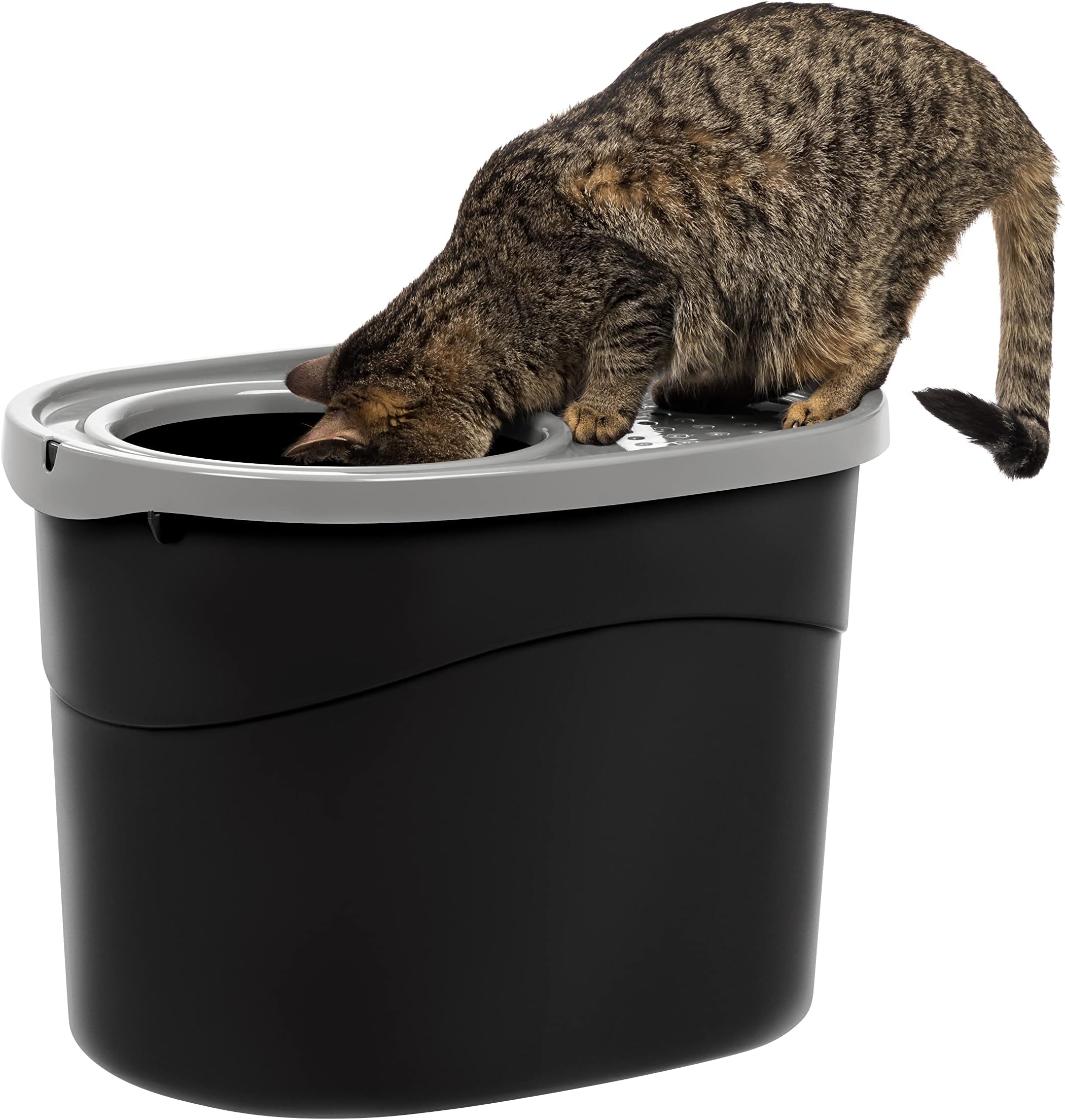 IRIS USA Oval Top Entry Cat Litter Box with Scoop, Kitty Litter Tray