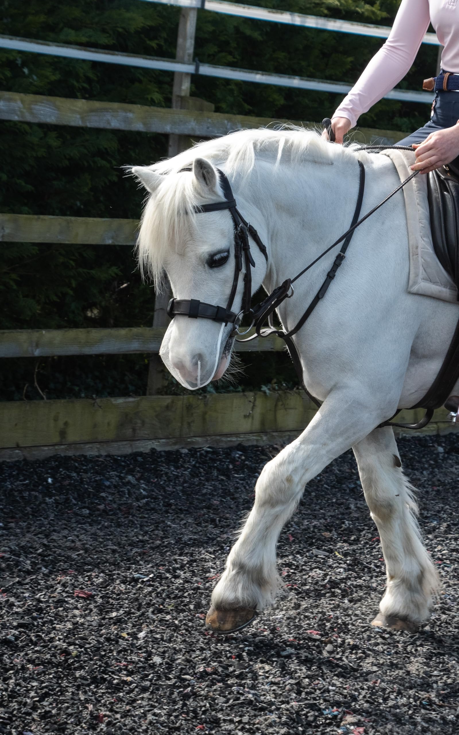 Equilibrium Net Relief - Muzzle Net (White, Small Pony)