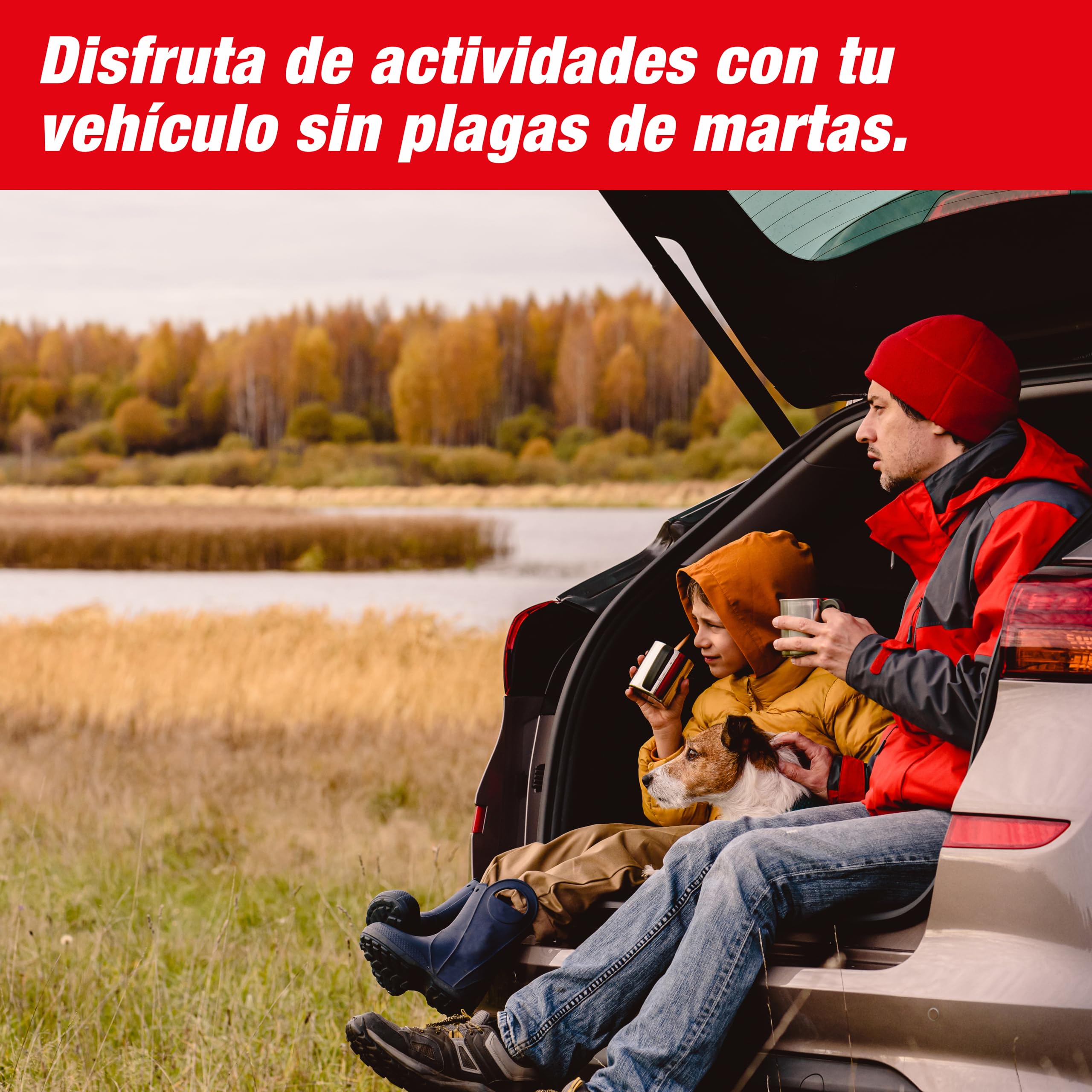 SWISSINNO Repelente para Martas para Coche 12V – Ultrasonido + Descargas Eléctricas – Protección Motor – Placas INOX – Bajo Consumo – Apagado Automático – Calidad Suiza | Anti hechizo, anti roedor, compartimento del motor, garaje, casa, Martres Repeller R