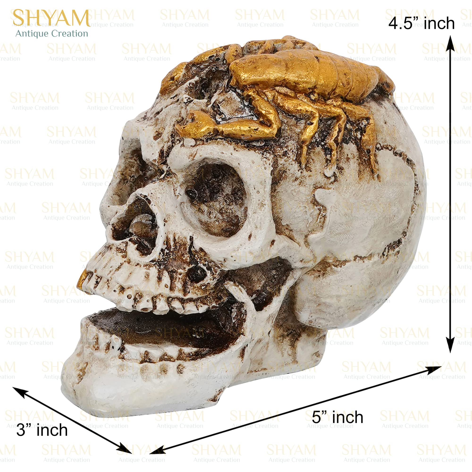 Buy Shyam Antique Creation Resin Scorpion Sitting on Skull Statue